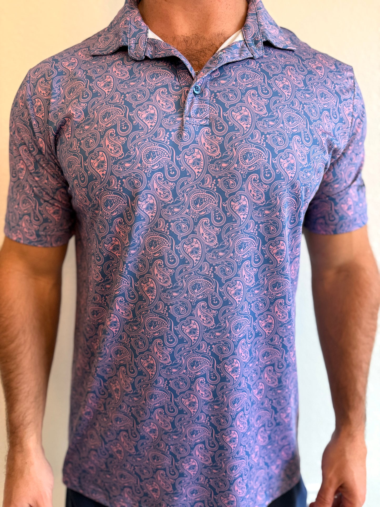 Blue and Pink Paisley