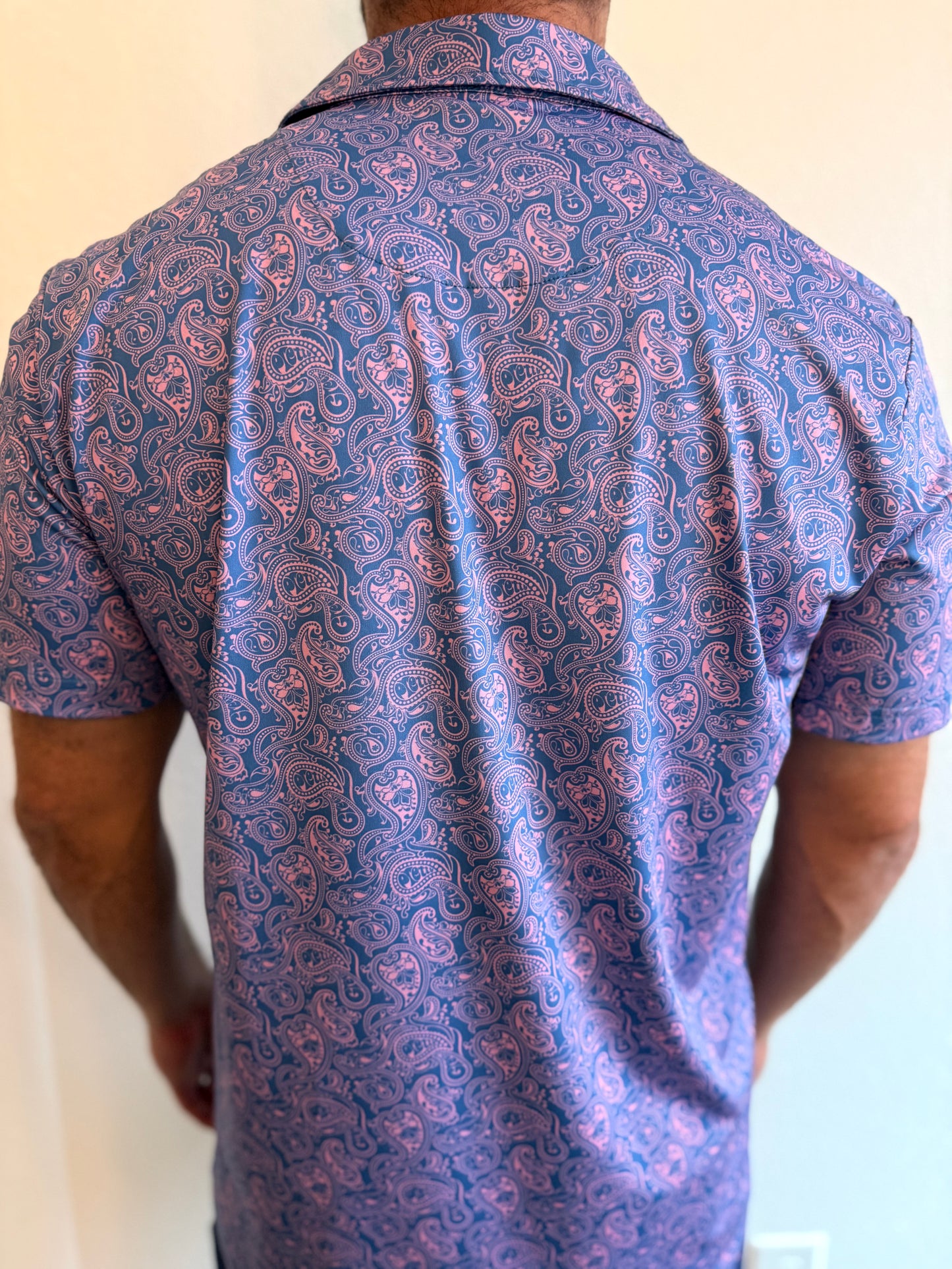 Blue and Pink Paisley